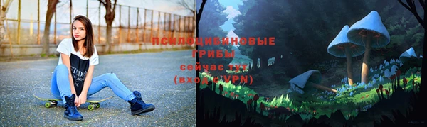 PSILOCYBIN Балахна