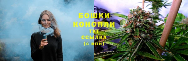 PSILOCYBIN Балахна