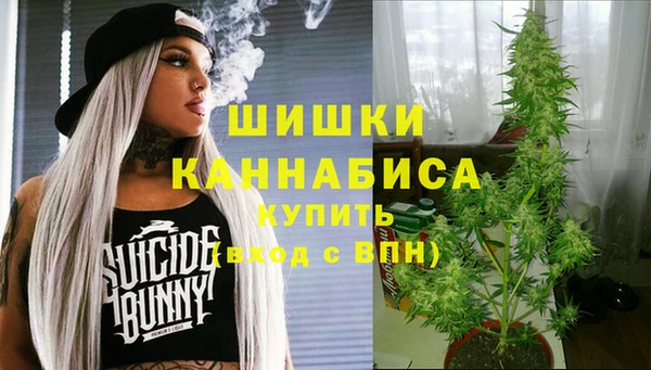PSILOCYBIN Балахна