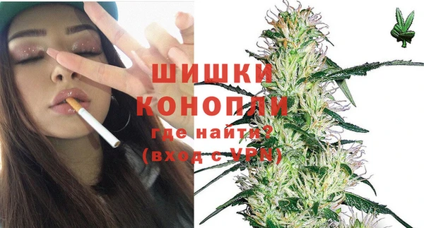 PSILOCYBIN Балахна