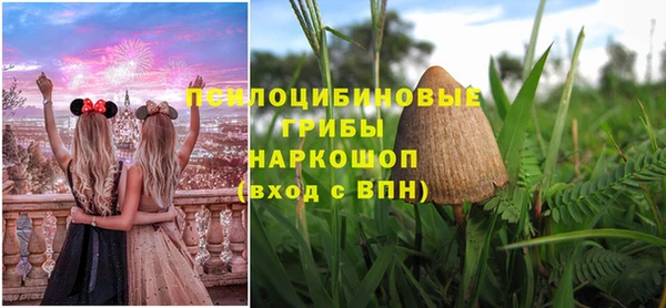 PSILOCYBIN Балахна