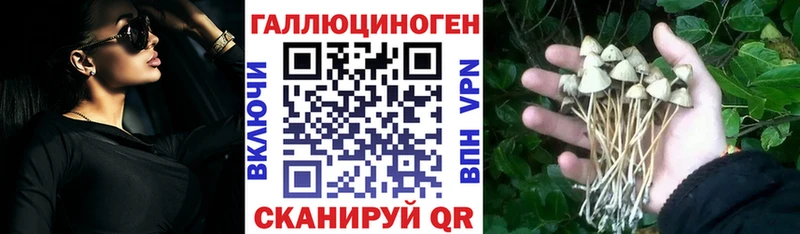 где купить наркоту  Курганинск  Псилоцибиновые грибы прущие грибы 